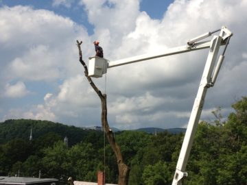 Our 60' Bucket Truck in Action