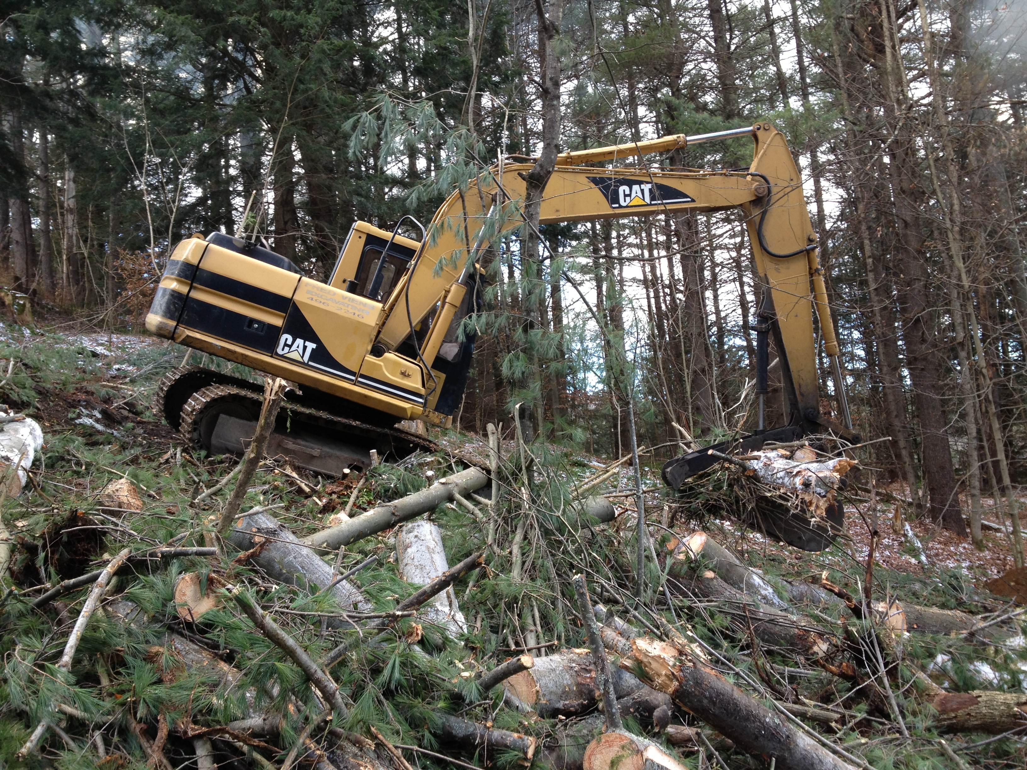 Cleaning up brush and logs