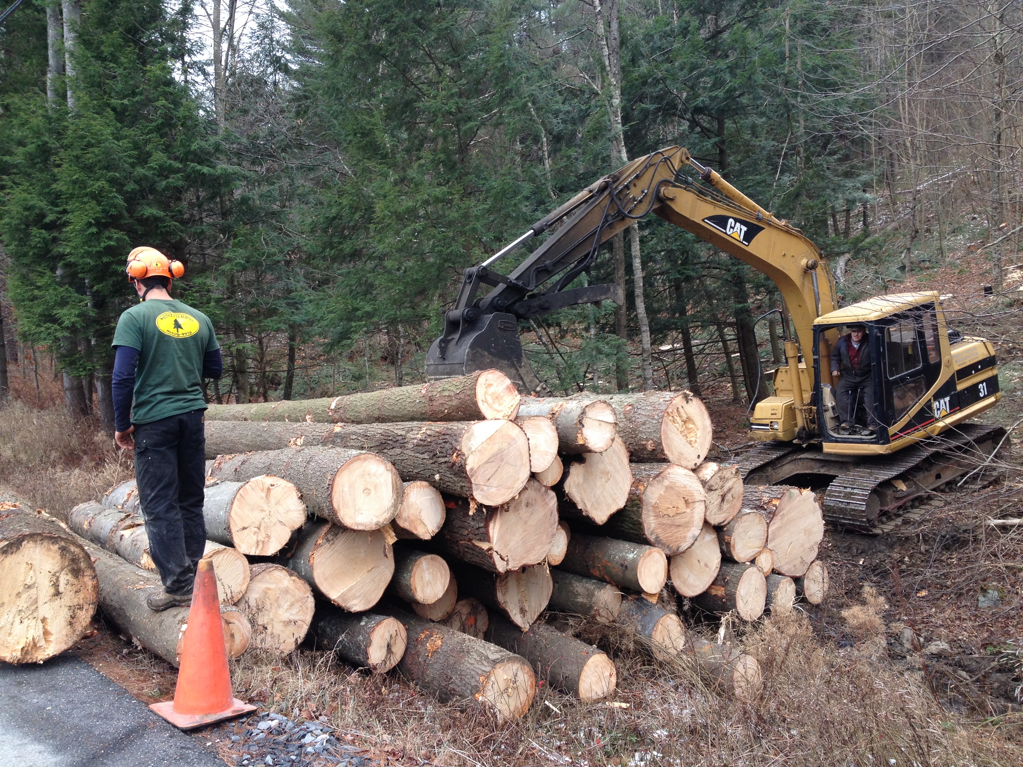 Logs are stacked