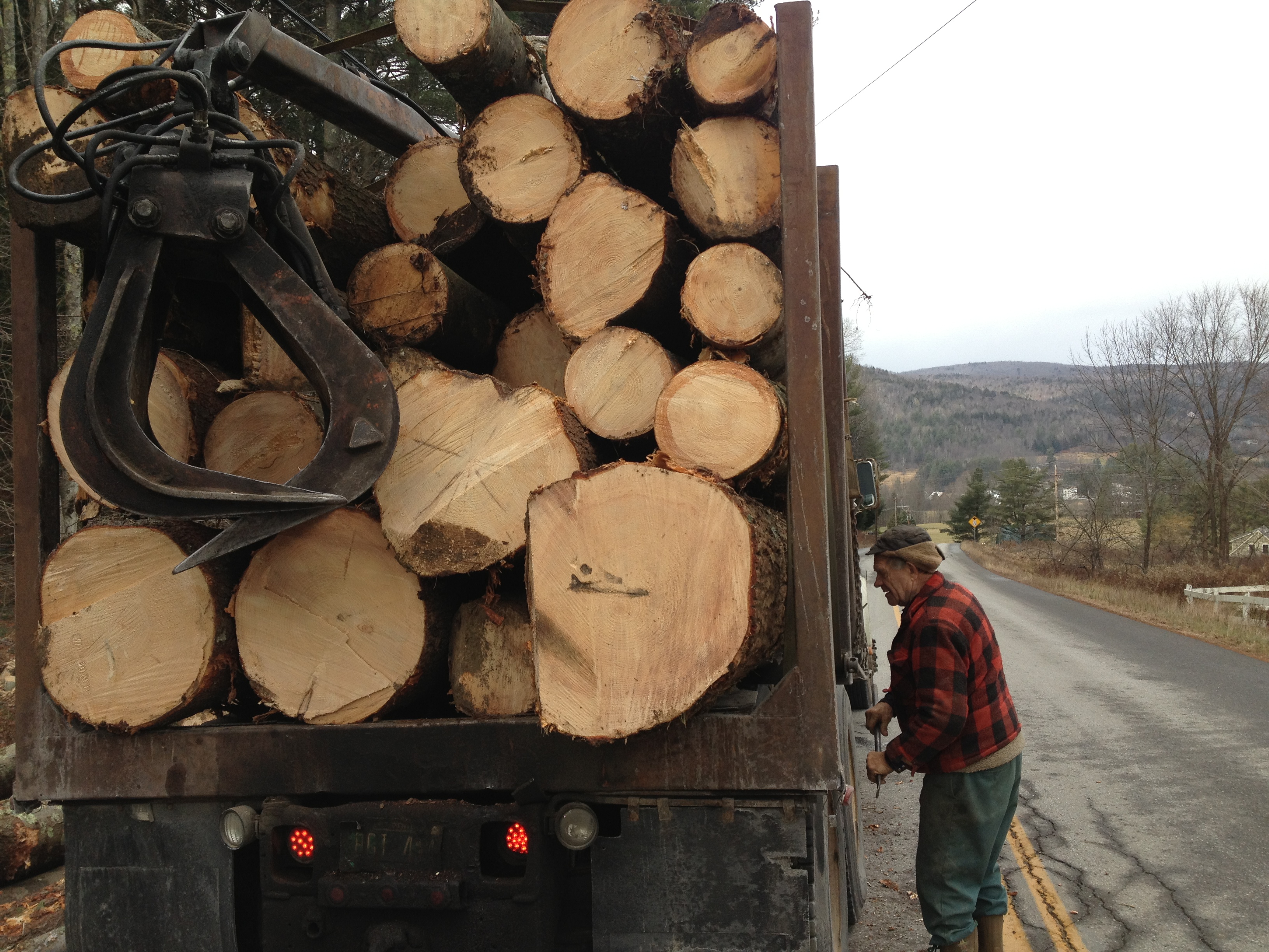 Truck is full of logs