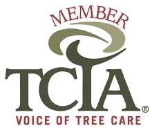 TCIA logo