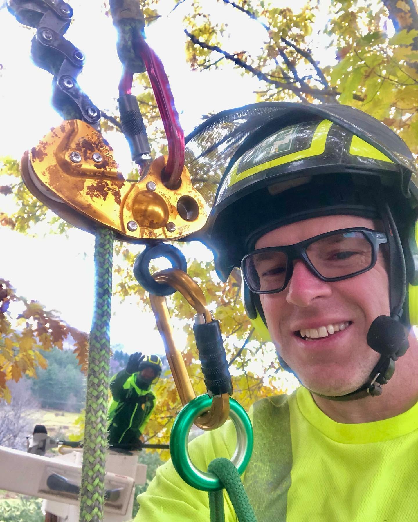 Image gallery image