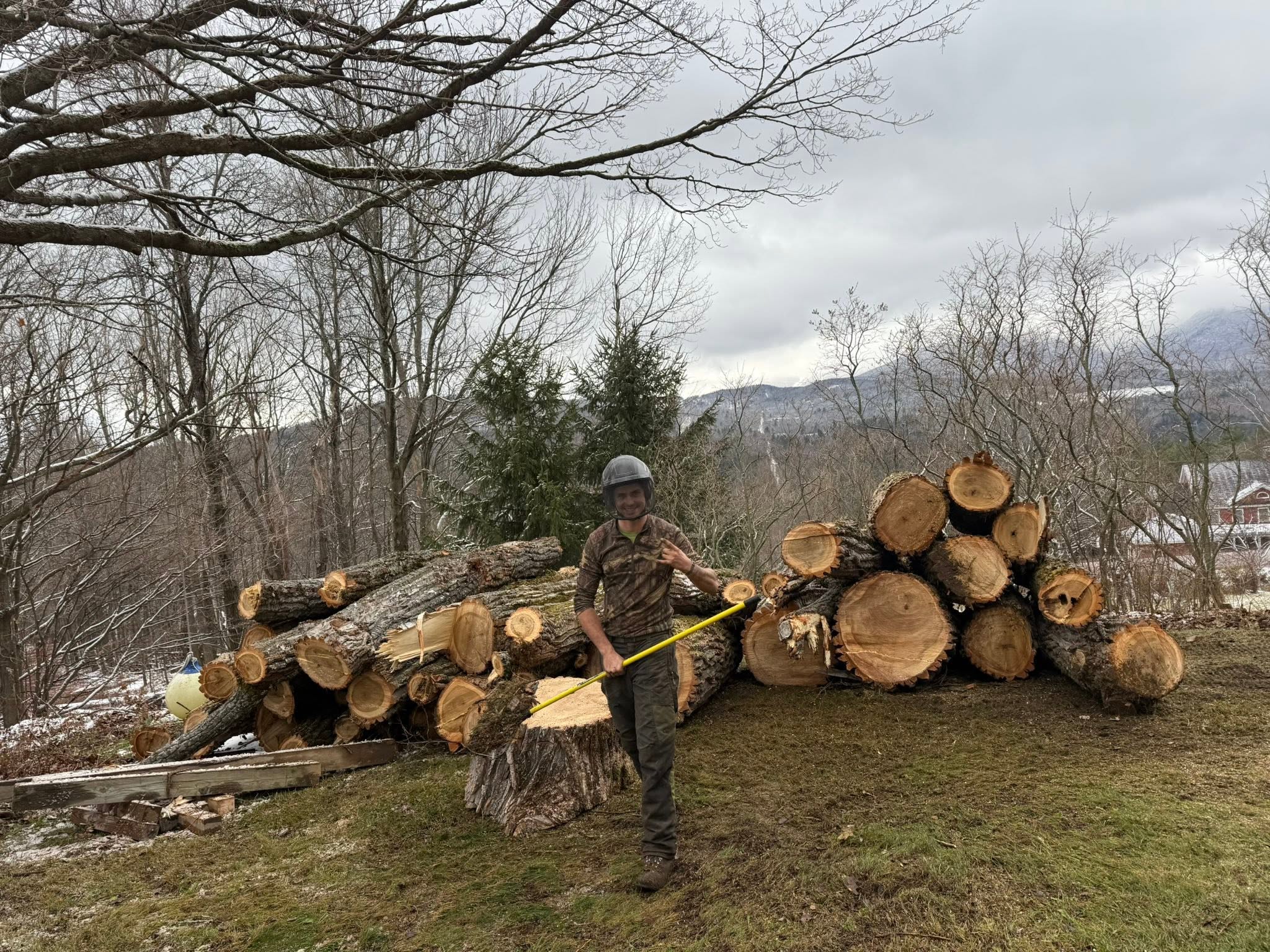 Lots of firewood