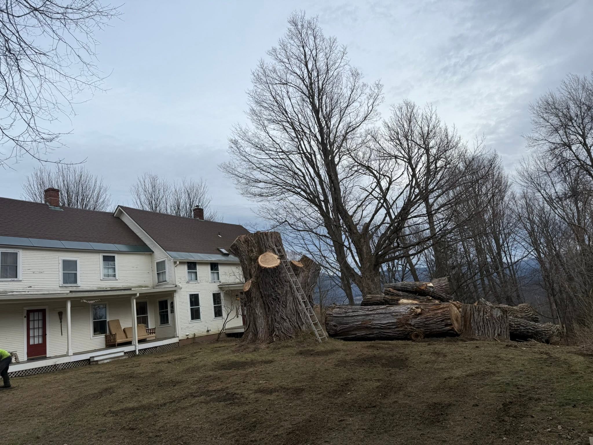 The remaining stump